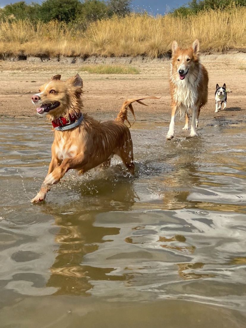 37db576e-201e-429a-b052-c45be3a79f66